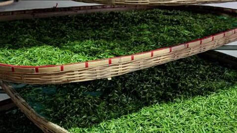 茶葉除濕機(jī)